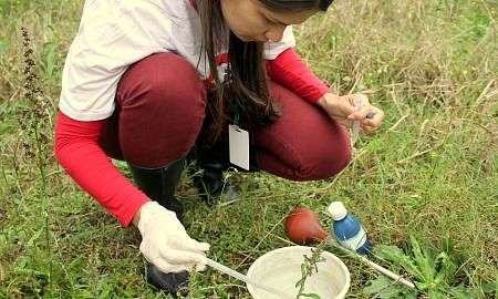 Combate ao Aedes aegypti Foto de Émerson Justo
