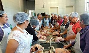 Curso frango