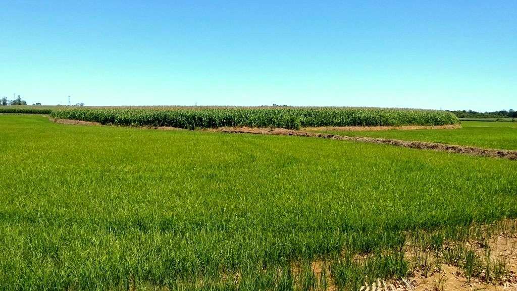 Mudança na titularidade da Promotoria de Justiça de Forquilhinha 9 03 11 Plantações