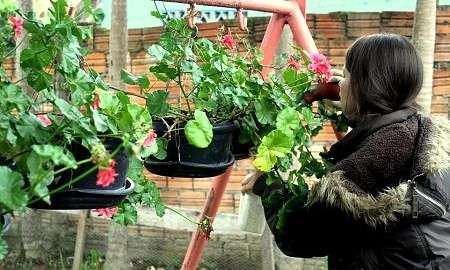 Programa de Combate à Dengue Foto de Émerson Justo