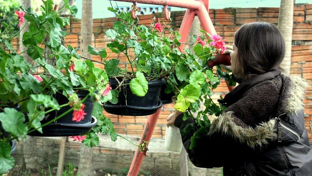 Programa de Combate à Dengue Foto de Émerson Justo