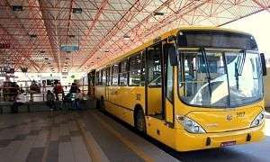 amarelinho onibus