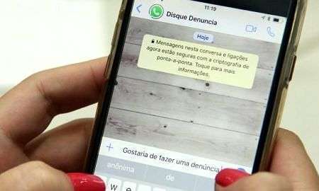 whatsapp do disque denuncia