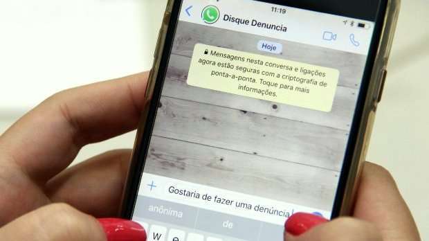 whatsapp do disque denuncia