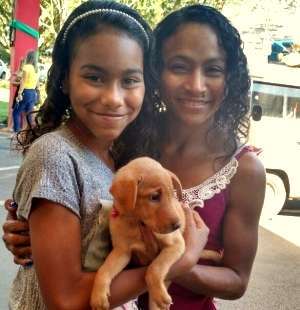 15 12 Feira de Adoção