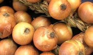 Cebola