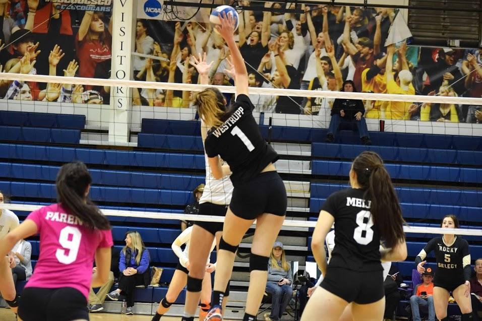 12 01 Nicoli Westrup