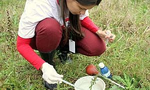 Vigilância Epidemiológica encontra focos do mosquito da dengue em Criciúma Foto Emerson Justo