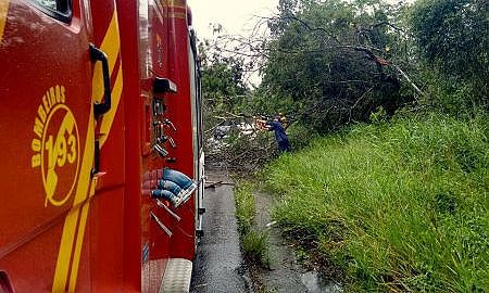 bombeiros alertam para perigos com a chuva 20180111 1025372654