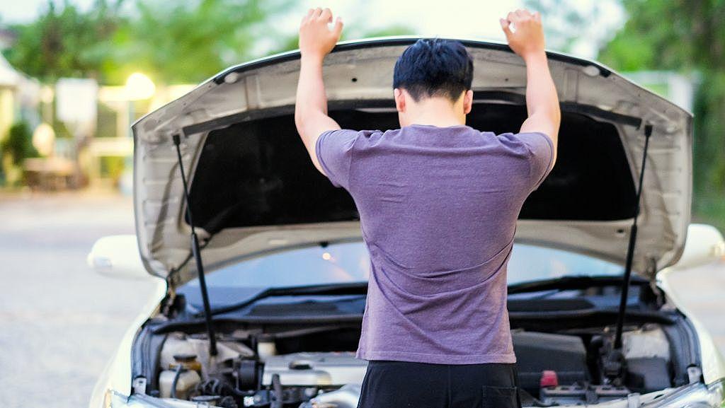 imagem release 1169165