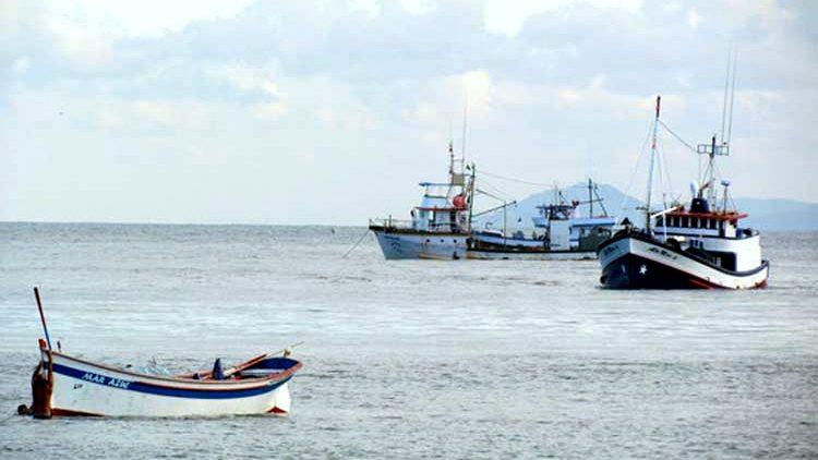 Barcos pesca
