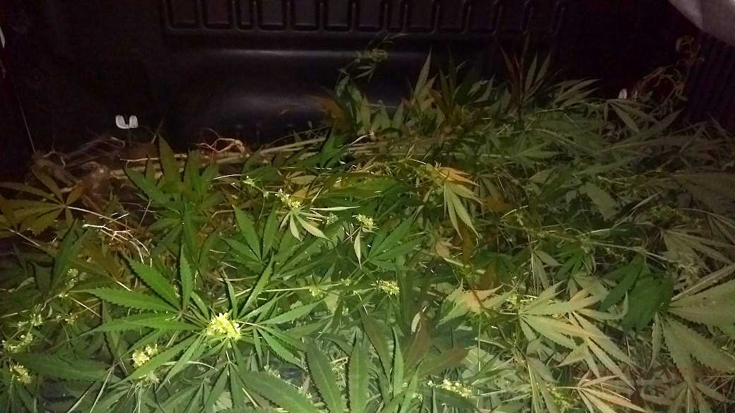 WhatsApp Image 2018 02 23 at 00.11.57