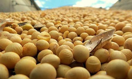 agricultura exportacao soja 20180129 1603198597