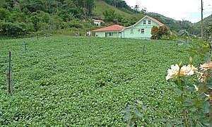santa catarina tem 83 dos imoveis regularizados no cadastro ambiental rural 20180201 1985122612