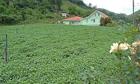 santa catarina tem 83 dos imoveis regularizados no cadastro ambiental rural 20180201 1985122612