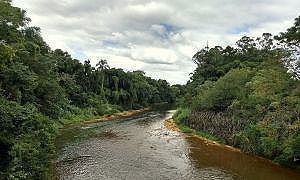 27 04 Rio Mãe Luzia