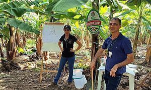 Capacitação bananicultores Epagri Fotos João Francisco Milioli 2