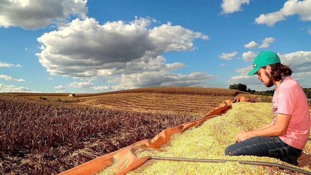 colheita de milho 20180503 1791691023