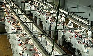 santa catarina amplia exportacoes de carnes em maio 20180612 1294538914