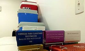 Banco de Olhos Criciúma Bruna Borges 1