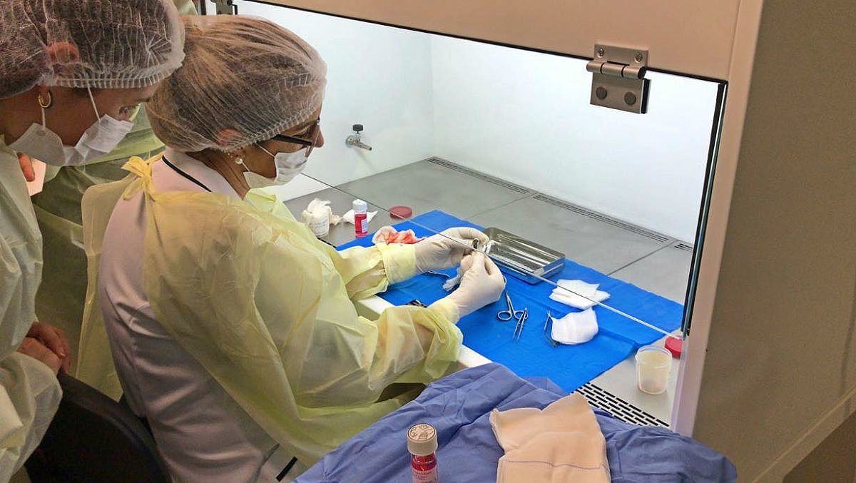 PrimeiradoaçãocórneaBancodeOlhosdaRegiãoSul9