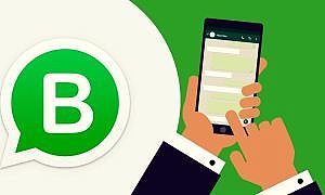 whatsapp business