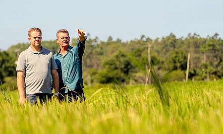 Arranjo produtivo do arroz irrigado também integra a pauta do evento