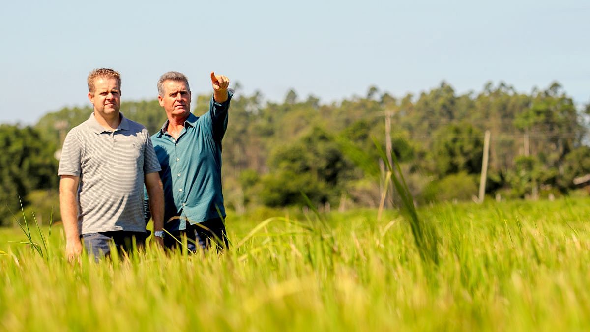 Arranjo produtivo do arroz irrigado também integra a pauta do evento