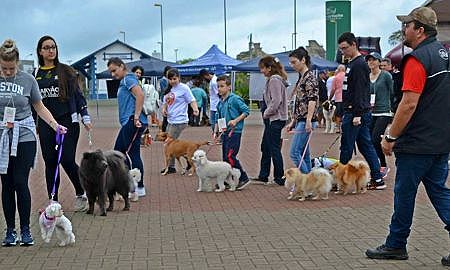 22196141 608979659437813 2320777256439890220 n