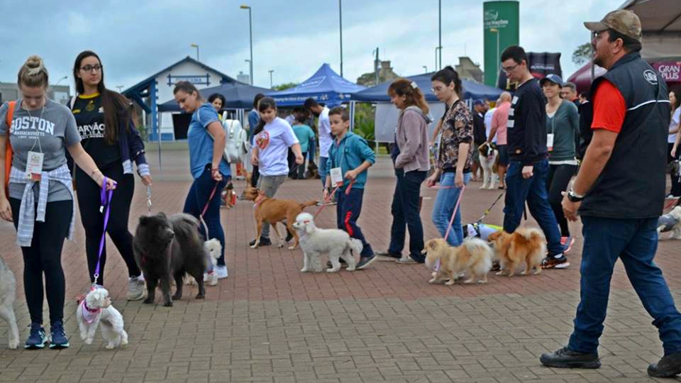 22196141 608979659437813 2320777256439890220 n