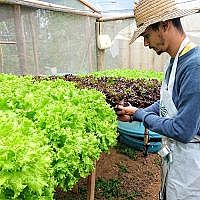 DSCPDC 0002 BURST20180831135539867 COVER