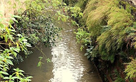 Nascentes do Rio Criciúma Fotos Beatriz Formanski 21