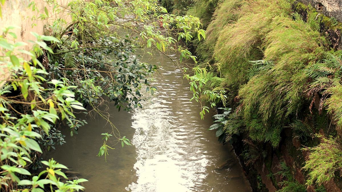 Nascentes do Rio Criciúma Fotos Beatriz Formanski 21
