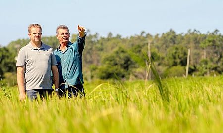 8378 das operaÃ§Ãµes realizadas foram direcionadas a pequenos e mÃ©dios produtores rurais