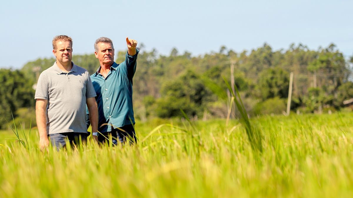 8378 das operaÃ§Ãµes realizadas foram direcionadas a pequenos e mÃ©dios produtores rurais