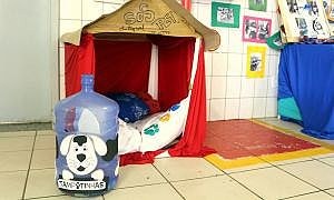 IMG 4879