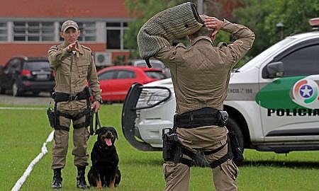USAR dnlburigo caes canil K9 PM batalhao 4