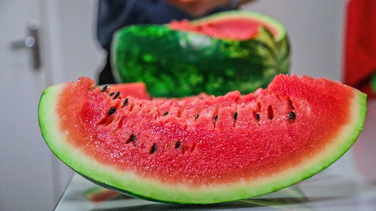 Melancia2 1