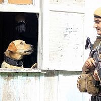 PM desencadeia operação policial com 32 homens e 16 viaturas em Forquilhinha 22 MG 0731