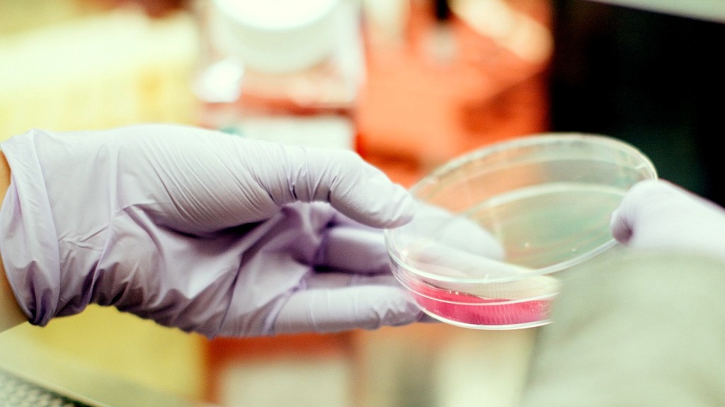 drew hays 206414 unsplash