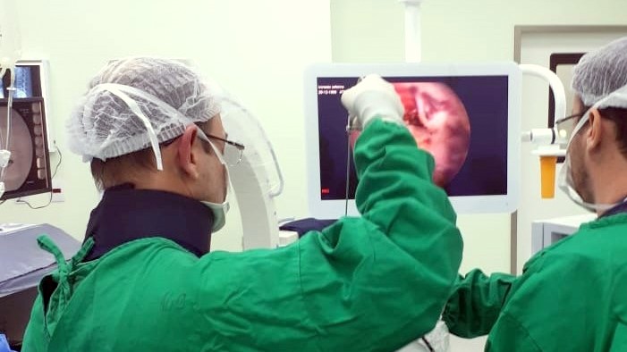 Cirurgia endoscÃ³pica da coluna.3