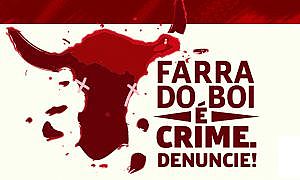 farra do boi