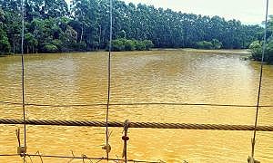santa catarina desenvolve programa para melhorar qualidade dos recursos hidricos do estado 20190324 2013948439