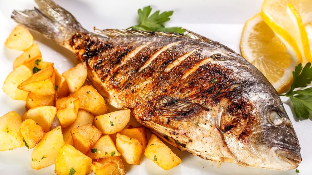 Foto divulgaÃ§Ã£o