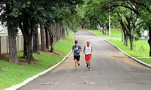 IMG 6538