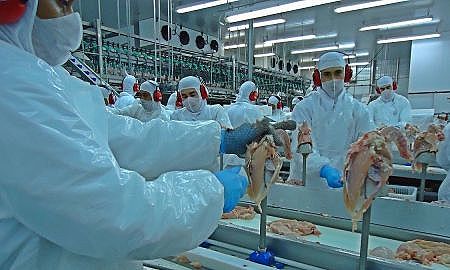 exportacao de carne de frango 20190426 1238513852