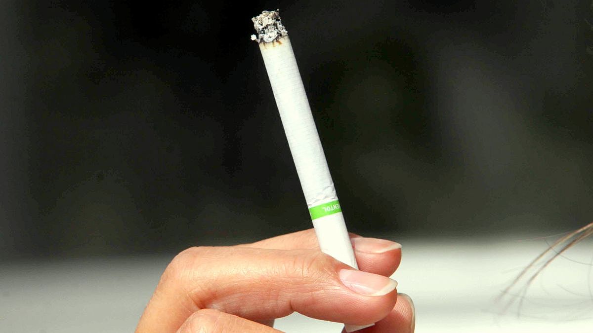 cigarro 20190530 1223595241