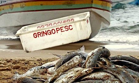 pesca da tainha 20190430 1743209653