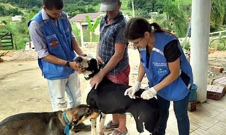 raiva animais vacina