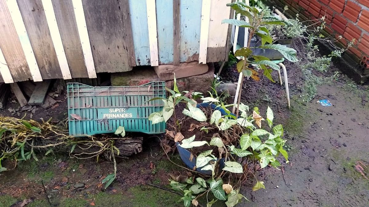 Polícia Militar apreende cocaína e crack no Bairro Cidade Alta 9 tráfico cidade alta 3